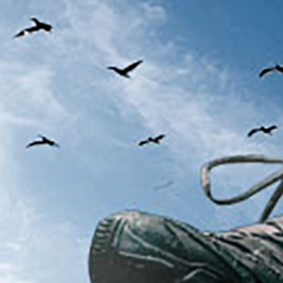 shoe2