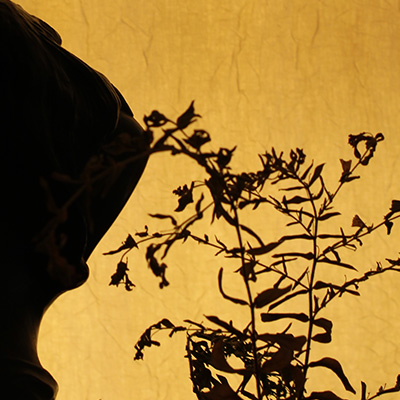silhouette